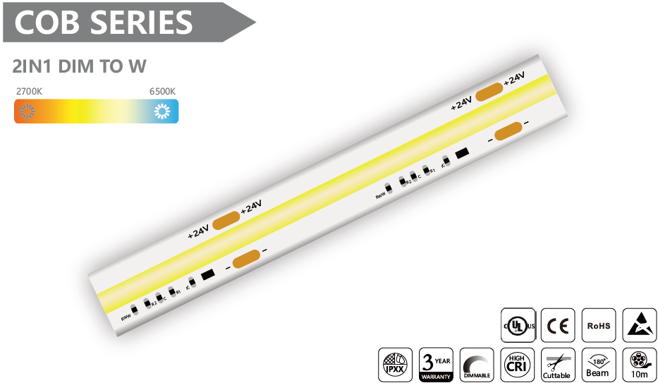 2 IN 1 DIM TO W COB Led Strip - 10m/reel