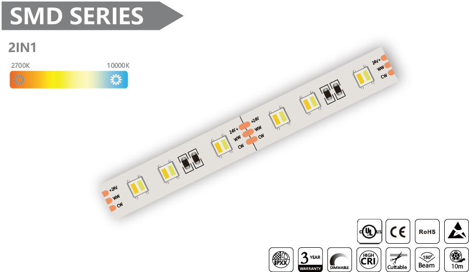 2 合 1 SMD LED 灯带 - 10m/卷