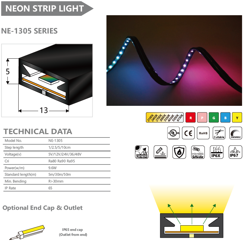 NE-1305系列霓虹灯条