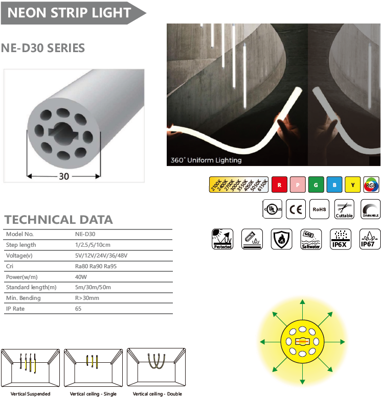 NE-D30系列霓虹灯条