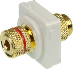 Banana Plug to Binding Post RED (White Bezel)