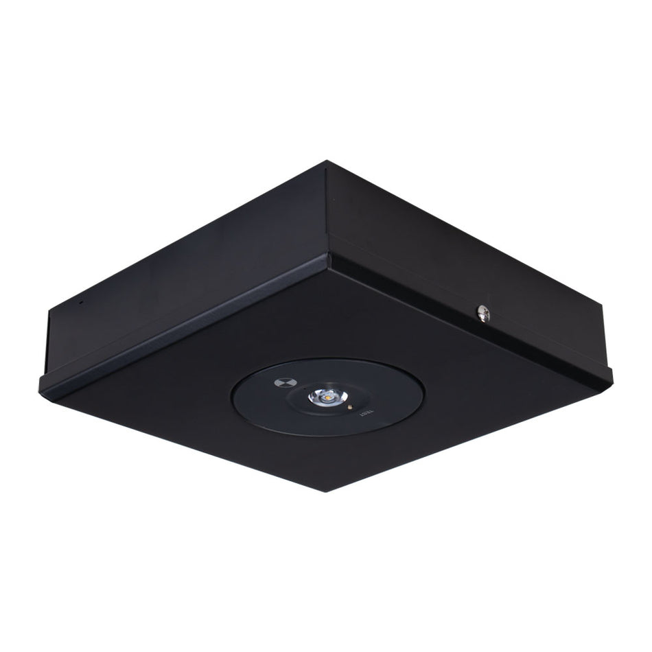 Evac Surface Mounted 3.5W LED Spitfire Emergency Light Non-Main D63 Class Black