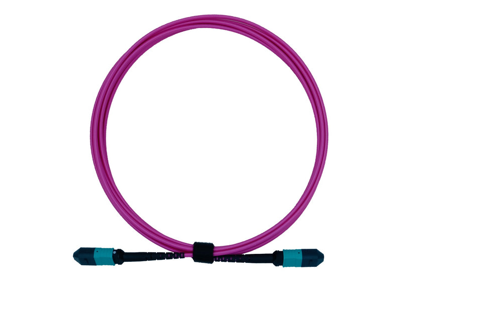 5m MPO-MPO 12F Multimode OM4 Fiber Optic Cable | Magenta