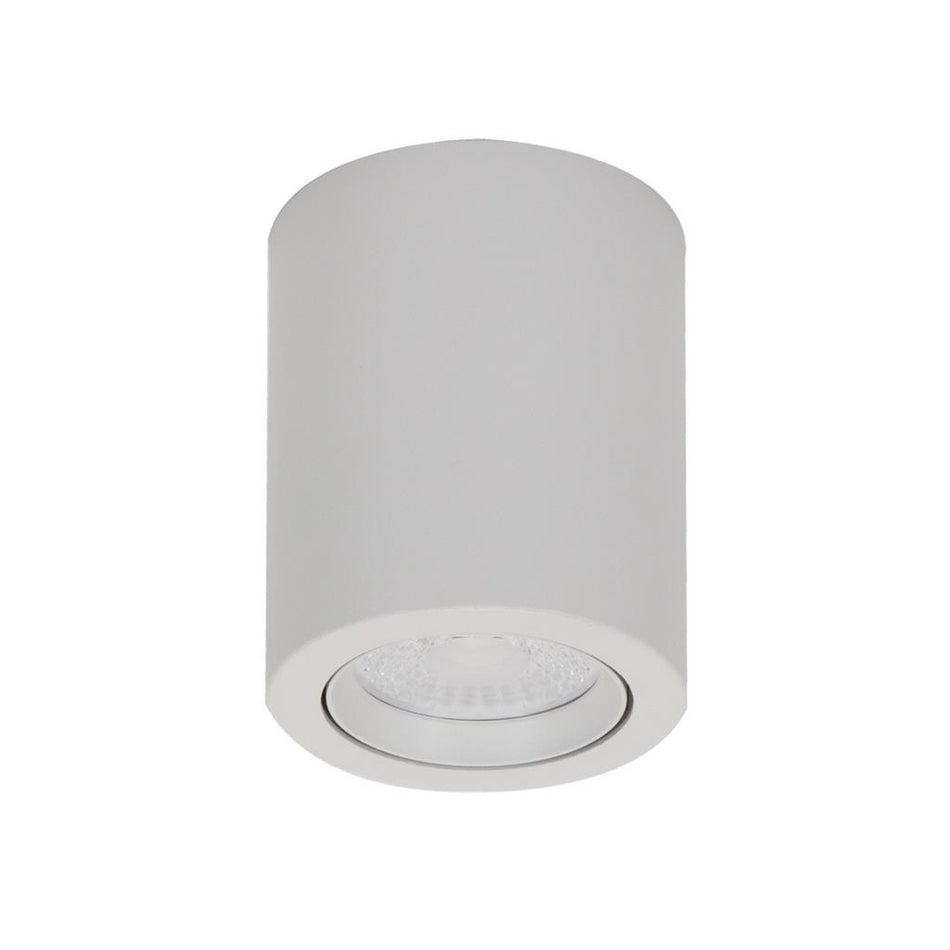 Neo-10 10W Dimmable Surface Mounted Tiltable LED Downlight White / Tri-Colour