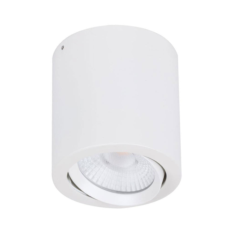 Neo-20 20W Dimmable Surface Mounted Tiltable LED Downlight White / Tri-Colour