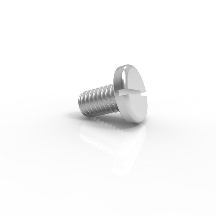 M8-30 SLP A4 Q50 | M8 x 30 Slotted Panhead Screw