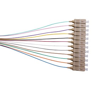 MSS-Fibre-OM4-50um-12-Fibre-SC-900um-Pigtails---12-Pack