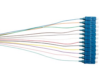 MSS-Fibre-SM-9um-12-Fibre-SC-900um-Pigtails---12-Pack