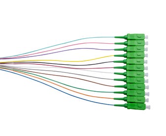 MSS-Fibre-SM-9um-12-Fibre-SCA-900um-Pigtails---12-Pack