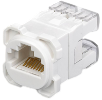 CAT6 & CAT5e Data Jack - 50PCS (White)